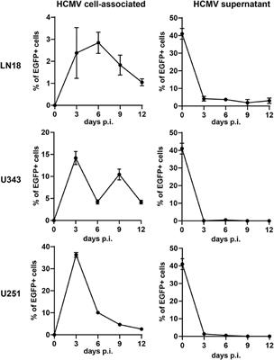 Development of a Human Cytomegalovirus (HCMV)-Based Therapeutic Cancer Vaccine Uncovers a Previously Unsuspected Viral Block of MHC Class I Antigen Presentation